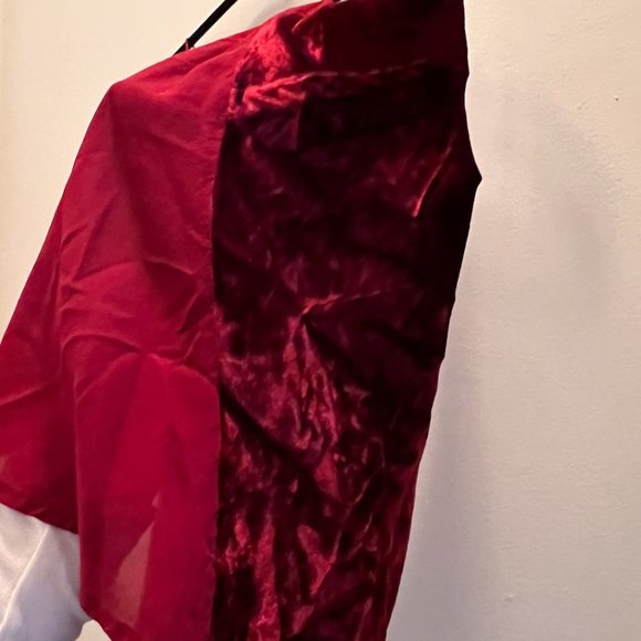 J Brand Luci Velvet Maroon Cami Tank, Small - Picture 6 of 8